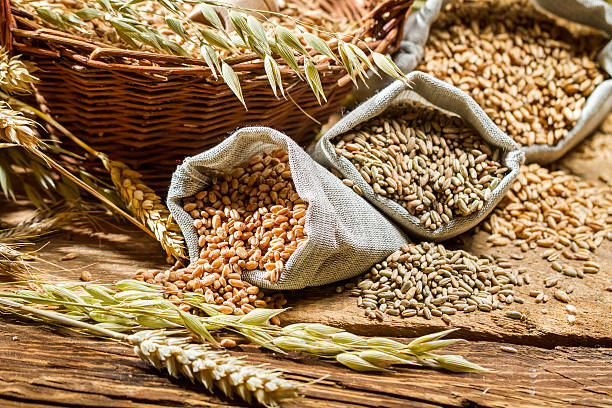 Different types of cereal grains with ears stock photo