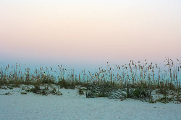 Dawn of Beach stock photo