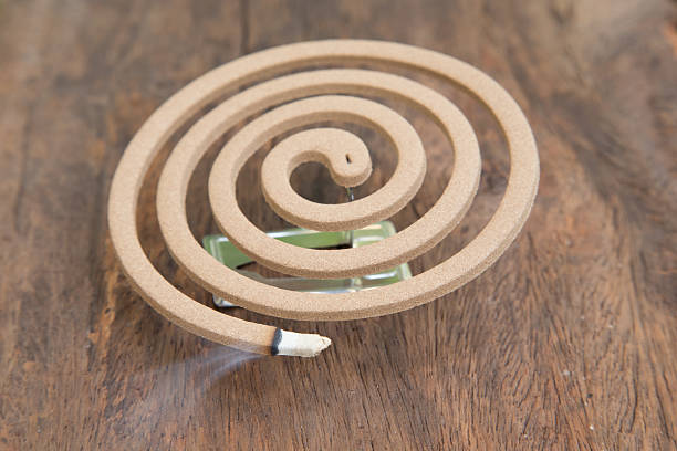 istock Burning mosquito coil for Insect repellent 481884917