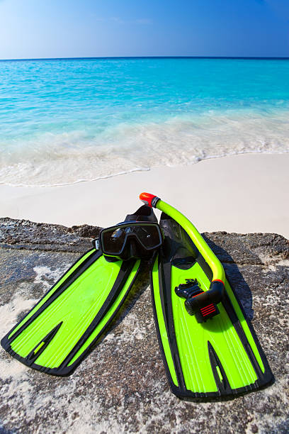 istock Accessory for Snorkeling -mask, flippers,  tube-lay on sand 481885752
