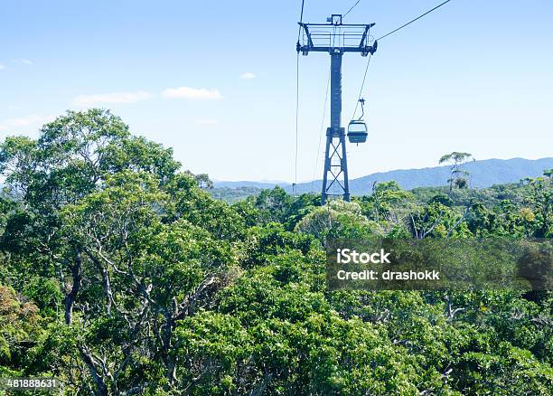 Cable Car En Selva Tropical Foto de stock y más banco de imágenes de Aire libre - Aire libre, Australia, Bosque