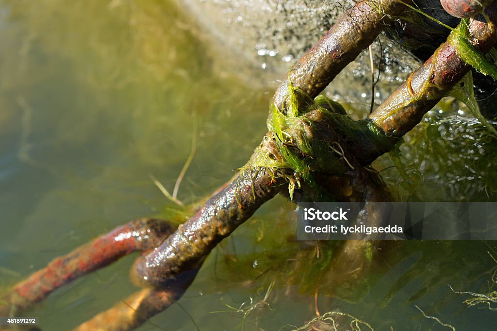 Rusty chain on rocks Rusty chain on rocks in water  Chain - Object Stock Photo