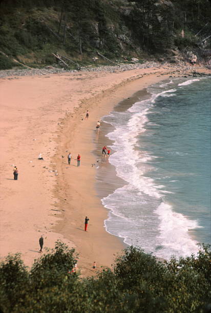 istock ACADIA  NATIONAL  PARK  BEACH,  MAINE  -  1983 481891556