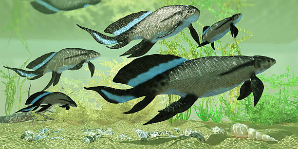 istock Scaumenacia cuta in Estuary 481891995
