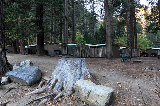 istock Curry village in Yosemite National Park 481894716