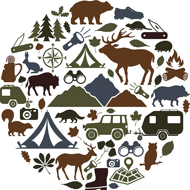 camping-collage - compass map hiking orienteering stock-grafiken, -clipart, -cartoons und -symbole