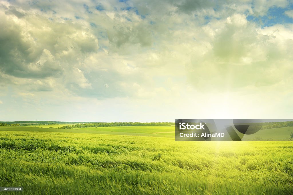 green field y el amanecer - Foto de stock de Campo - Tierra cultivada libre de derechos