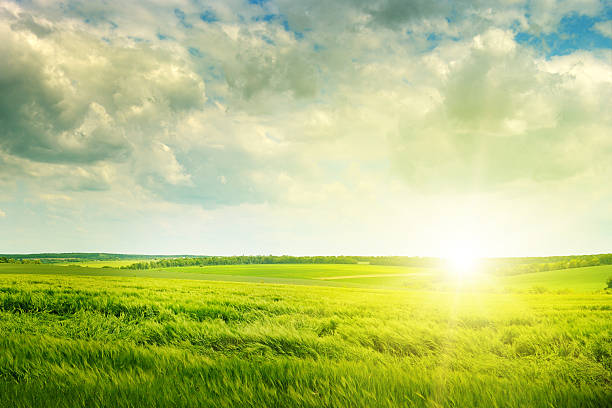 istock green field and sunrise 481900831