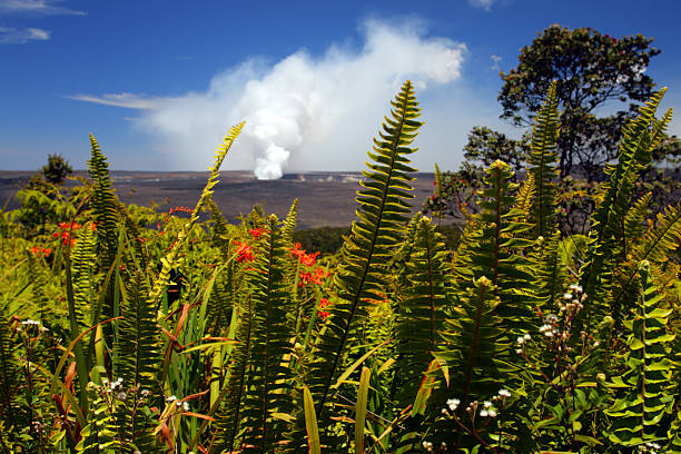 Stock image of Hawaii Volcanoes National Park, USA