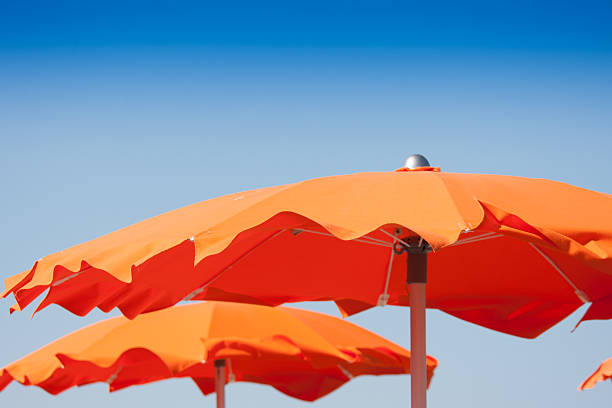 istock Umbrellas and sunbeds in Beach, Italy 481904332