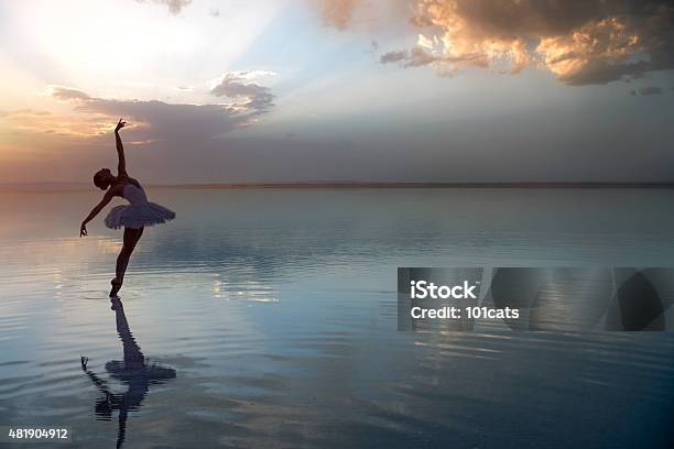 Estetica - Fotografie stock e altre immagini di Ballerino di danza classica - Ballerino di danza classica, Danza classica, Tipo di danza