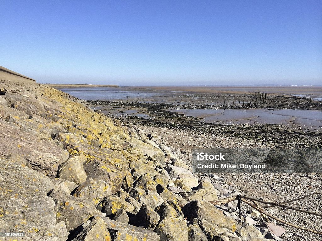 Severn Estuary at low tide Magor, moors, marshes, reens, environment, agriculture, Monmouthshire, Wales, England, UK, Gwent Levels, spring, sunrise, countryside, farming, Severn Estuary, River Severn, sea wall Agriculture Stock Photo