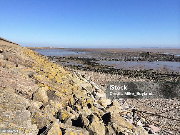 Severn Estuary At Low Tide Stock Photo - Download Image Now - Agriculture, England, Environment