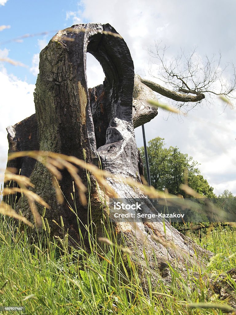 木の幹た雷サージ - カラー画像のロイヤリティフリーストックフォト