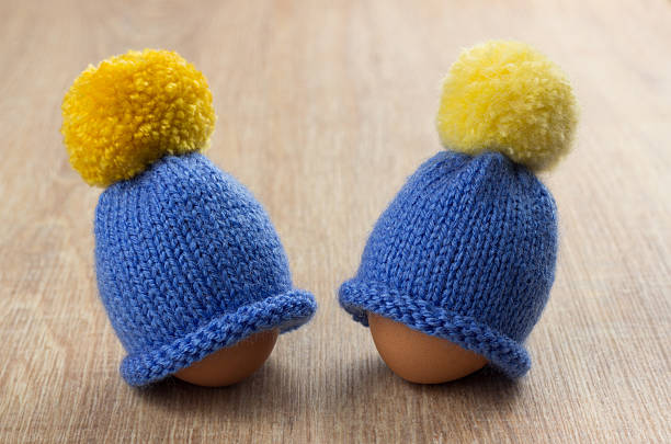 hats for eggs stock photo