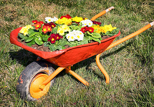 istock flowers in an old cart 481908567