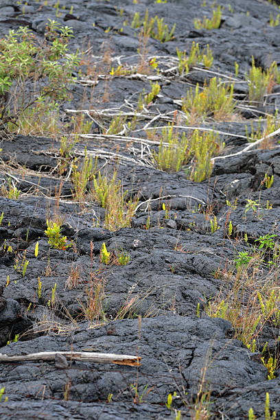 istock Hawaii Volcanoes National Park, USA 481909340