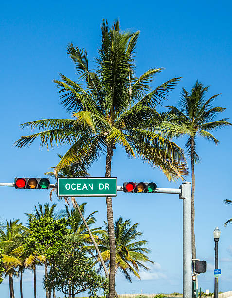 istock ocean drive sign in south beach with palms 481909813