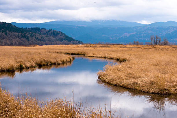 istock Columbia Gorge tributary brush prairie mountains sky 481910925