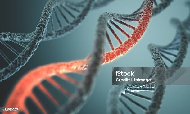 Dna Structure Stock Photo - Download Image Now - Messenger RNA, Genetic Mutation, RNA