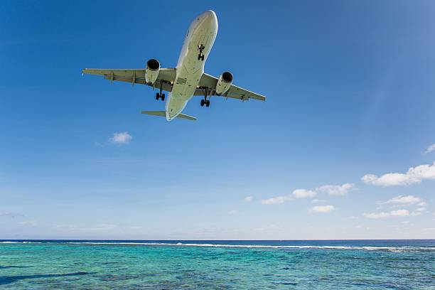 istock Watching landing airplanes in the jetblast area on Rarotonga 481911298