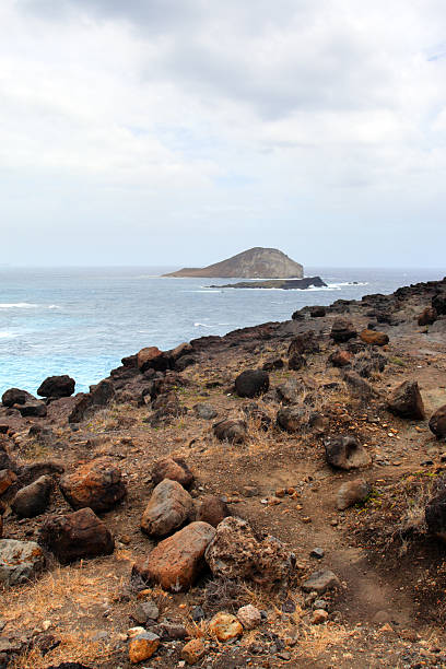 istock Maunalua Bay, Oahu, Hawaii 481913862