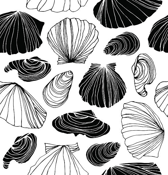 ilustrações de stock, clip art, desenhos animados e ícones de falta e branco fundo com seashells gráfico - engraving engraved image coastline illustration and painting