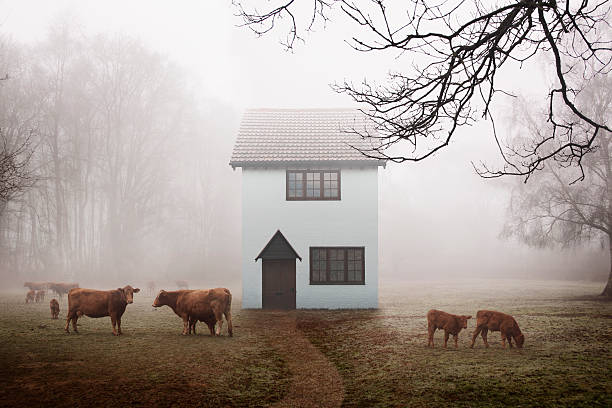 농장 시골집 필드에 - surrey southeast england england cottage 뉴스 사진 이미지