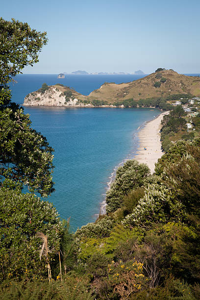 istock Hahei Beach New Zealand 481915239