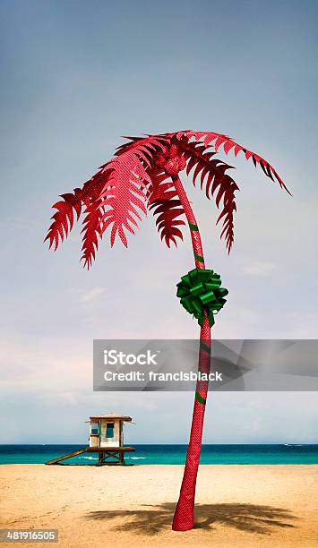 Завёрнутый Пальма — стоковые фотографии и другие картинки Рождество - Рождество, Пальма, Кокосовая пальма