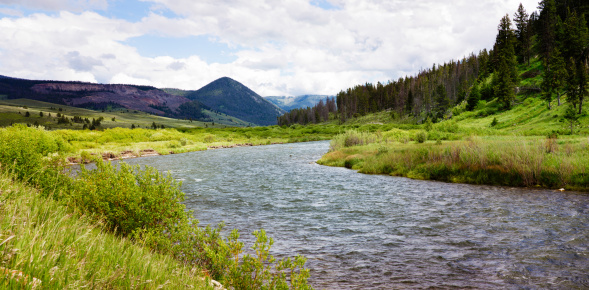 Panoramic view of a Fishing River in the Yellowstone National park, Wyoming, USA on a cool Summer day.