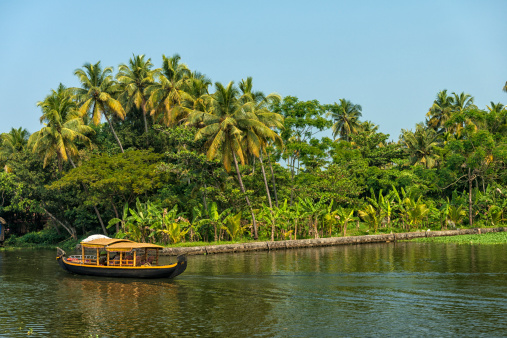 House boat in backwaters against palms background and blue sky In Alappey, Kerala, India. Kerala state, with a large network of inland canals earning it the sobriquet 