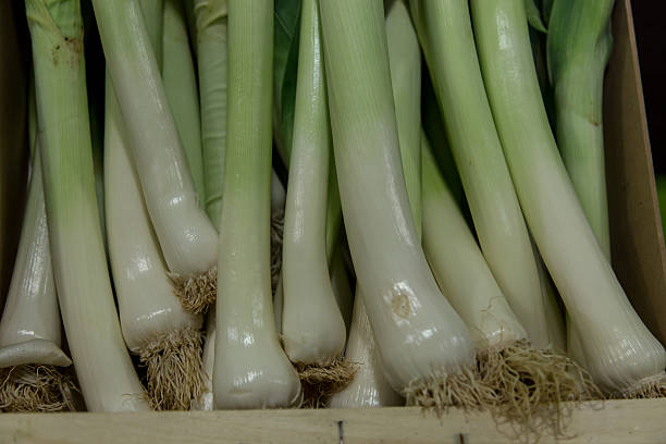 istock onion group in a marketplace as background 481917654