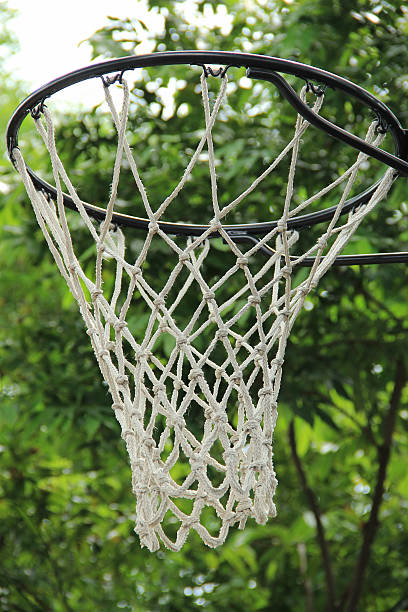 istock Basketball hoop/garden background 481918374