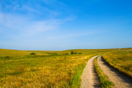 Country Road leading through the Flint Hills of Kansas