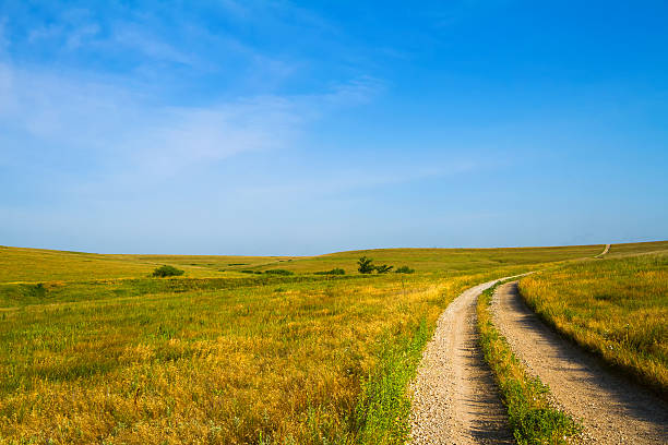 Gravel Road through Flint Hills Country Road leading through the Flint Hills of Kansas kansas stock pictures, royalty-free photos & images