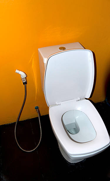 istock Toilet in Thailand 481918970