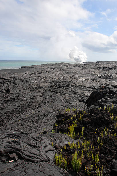 istock Hawaii Volcanoes National Park, USA 481925428