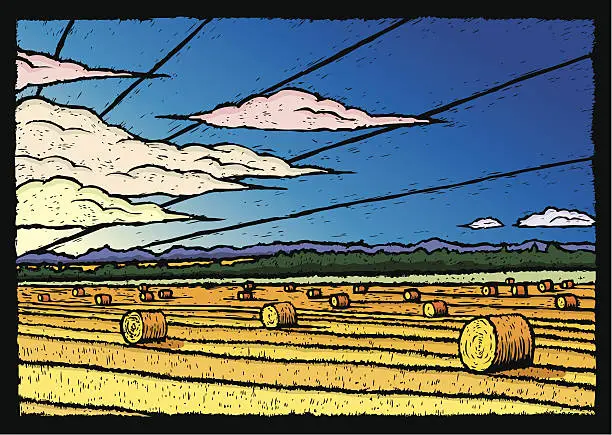 Vector illustration of Hay Field