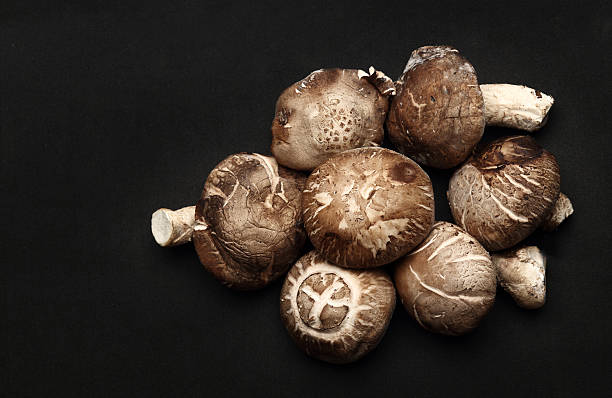 la cantidad de champiñones shitake sobre fondo negro - edible mushroom crimini mushroom fungus brown fotografías e imágenes de stock