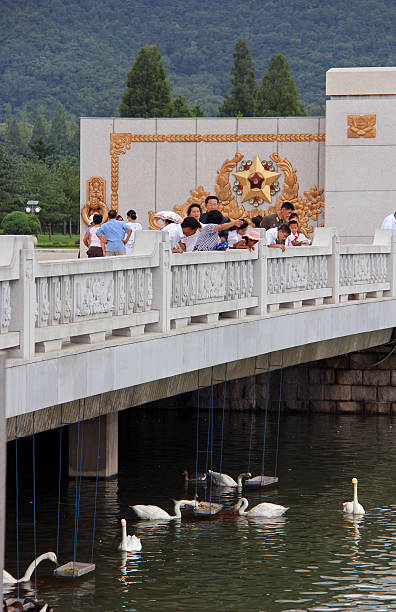 North Korea DPRK: Feeding the Birds in Pyongyang Pyongyang, North Korea - August 14, 2013: Feeding the Birds in Pyongyang, just outside of the Kumsusan Memorial Palace Of The Sun (mausoleum of Kim Il Sung and Kim Jong Il). kim il sung mausoleum stock pictures, royalty-free photos & images