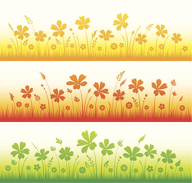 Flower designs summer vector art illustration