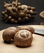 shiitake-pilze-auf-holz-block-hintergrund-in-schwarz.jpg?b=1&s=170x170&k=20&c=RsxK4vmBmSP9RG5bZDUFZmw0NO1H7Yy-W0XxdTSAnzY=