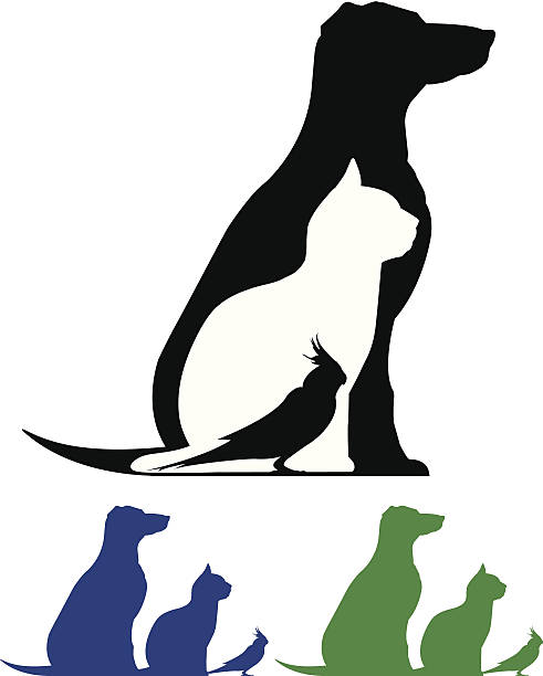 illustrations, cliparts, dessins animés et icônes de modèle pour animaux de compagnie - dog animal pets profile