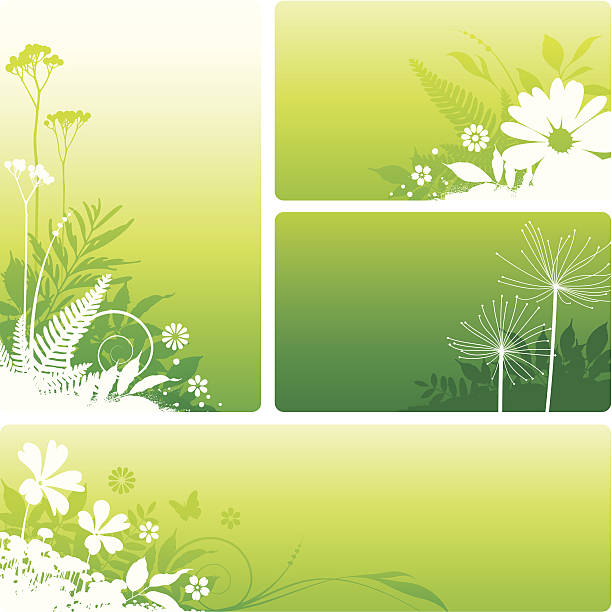 Nature designs vector art illustration