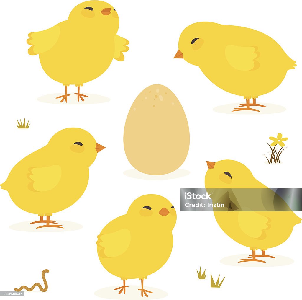 Baby chickens and Egg Baby chickens and Egg isolated on white icon set. Baby Chicken stock vector