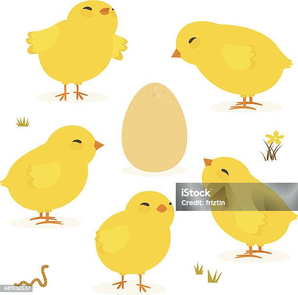 Baby Chickens And Egg Stock Illustration - Download Image Now - Baby Chicken, Animal Egg, Egg - Food