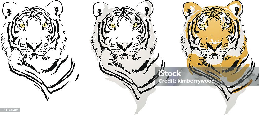 Tiger Vector File Tiger Head with Three Style Tiger stock vector