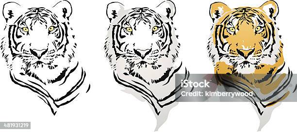 Tiger Stock Illustration - Download Image Now - Tiger, Animal Head, Tattoo