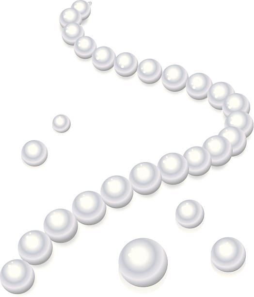 Peral Graphics 6,400+ Pearl Necklace Stock Illustrations, Royalty-Free Vector Graphics ...